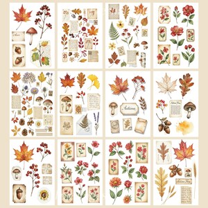 May include: A selection of watercolour stickers with autumnal illustrations. The stickers depict maple leaves, mushrooms, acorns, flowers, berries, and vintage paper elements. The word "Autumn" is written on one sticker.