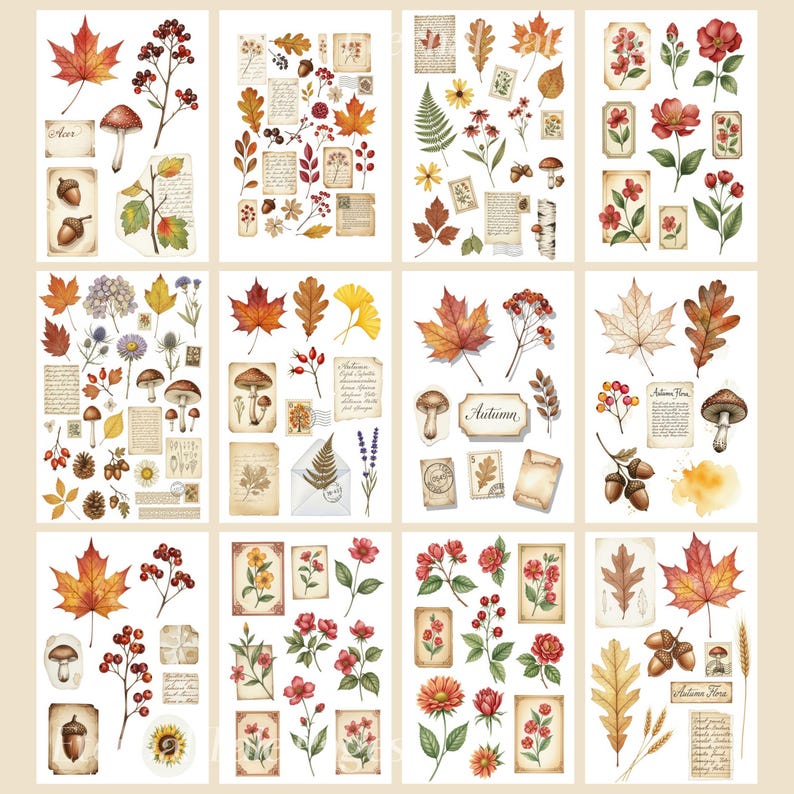 May include: A selection of watercolour stickers with autumnal illustrations. The stickers depict maple leaves, mushrooms, acorns, flowers, berries, and vintage paper elements. The word "Autumn" is written on one sticker.