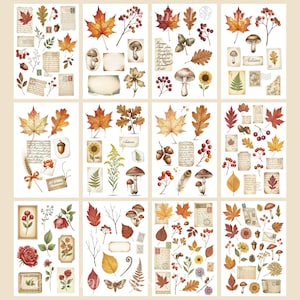 May include: A set of watercolour stickers with autumnal illustrations. The stickers depict maple leaves, mushrooms, berries, acorns, and vintage ephemera. The colour scheme features warm oranges, reds, and browns, creating a cosy, seasonal atmosphere.