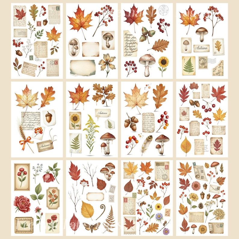 May include: A set of watercolour stickers with autumnal illustrations. The stickers depict maple leaves, mushrooms, berries, acorns, and vintage ephemera. The colour scheme features warm oranges, reds, and browns, creating a cosy, seasonal atmosphere.