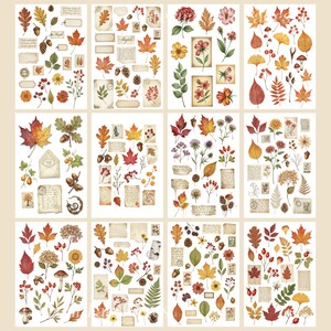 May include: Twelve sheets of decorative stickers with autumnal illustrations. The stickers depict colourful leaves, flowers, acorns, pine cones, and vintage paper elements. The designs feature shades of red, orange, yellow, and brown, ideal for scrapbooking and crafts.