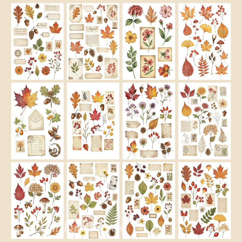 May include: Twelve sheets of decorative stickers with autumnal illustrations. The stickers depict colourful leaves, flowers, acorns, pine cones, and vintage paper elements. The designs feature shades of red, orange, yellow, and brown, ideal for scrapbooking and crafts.