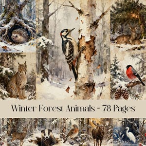 May include: A collage of watercolor illustrations featuring winter forest animals. Includes a hedgehog, lynx, deer, birds, and a woodpecker on a birch tree. The text "Winter Forest Animals - 78 Pages" is at the bottom.