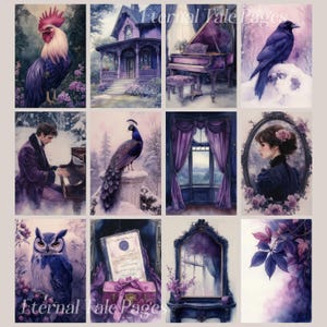 May include: A collage of images in shades of purple, featuring a rooster, a house, a piano, a crow, a peacock, a window with curtains, a woman, an owl, a certificate, a mirror, and leaves.