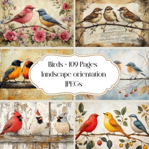 Vögel Seiten für scrapbook und Junk Journal, digitales Papier, Natur Szenen, Tiere, Vögel auf Zweigen, shabby chic, bedruckbares Decoupage Papier