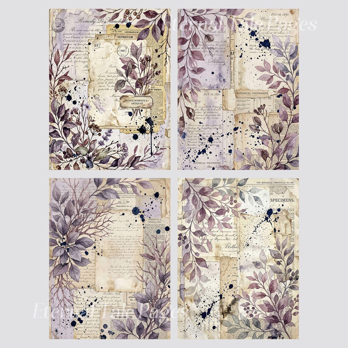 Lilac Botanical Digital Paper, Vintage Herbarium Journal Pages, Purple ...