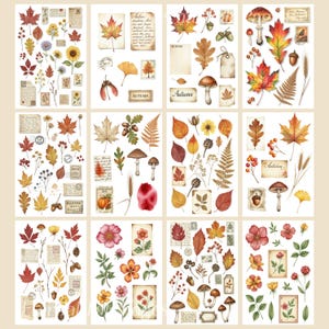 May include: A selection of decorative stickers with autumn-themed illustrations. The stickers depict colourful leaves, mushrooms, acorns, flowers, and vintage-style labels. The colour palette includes shades of red, orange, yellow, and brown.