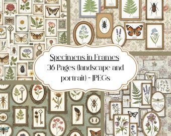 Vintage Botanische Junk Journal Seiten: Schmetterling, Farn, Insekt Druck (Digitaler Download)