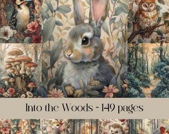 May include: A collage of images featuring a grey rabbit, a woodpecker, an owl, mushrooms, and a forest scene. The text "Into the Woods - 149 pages" is at the bottom of the image.