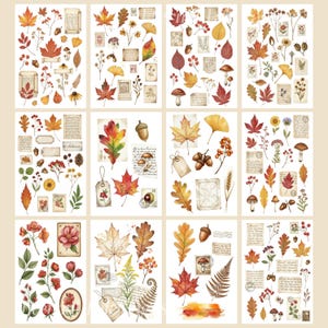 May include: Twelve sticker sheets with watercolour illustrations of autumn leaves, acorns, mushrooms, and vintage ephemera. The colour palette includes warm tones of red, orange, yellow, and brown, ideal for scrapbooking and craft projects.