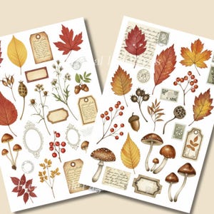 May include: Two sheets of autumn-themed stickers with watercolour illustrations of fall leaves, mushrooms, acorns, berries, and vintage tags. The colour palette includes shades of red, orange, yellow, and brown.