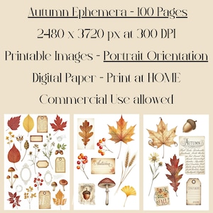 May include: Digital paper set with autumn ephemera illustrations. The image showcases watercolour images of fall leaves, acorns, mushrooms, tags, and floral elements. Text on the image reads "Autumn Ephemera - 100 Pages" and "Printable Images - Portrait Orientation."