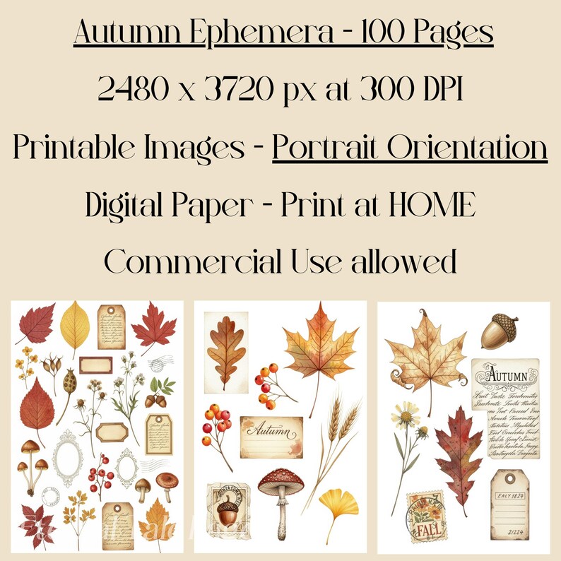 May include: Digital paper set with autumn ephemera illustrations. The image showcases watercolour images of fall leaves, acorns, mushrooms, tags, and floral elements. Text on the image reads "Autumn Ephemera - 100 Pages" and "Printable Images - Portrait Orientation."