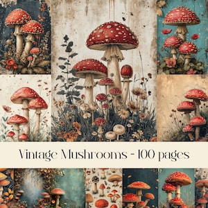 Immagini di funghi vintage per Junk Journal e Scrapbooking, immagini stampabili, funghi, logori, invecchiati, vecchi, antichi, illustrazioni