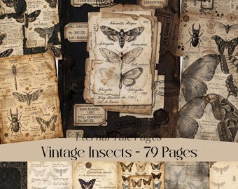 Papel digital de insectos vintage, papel para álbum de recortes de entomología, lámina imprimible de mariposa antigua, fondos para diarios creativos.