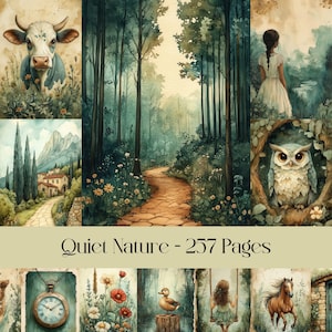 Pages calmes de la nature, forêt, région boisée, papier numérique, journal indésirable, aquarelle, champignons, animaux, bois, campagne, paysage rustique