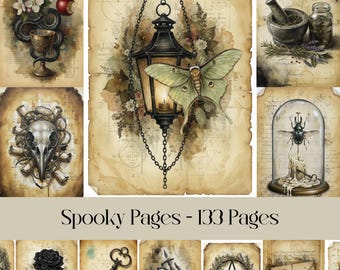 May include: A collection of vintage-style, digitally-created illustrations with a spooky theme. The images feature a variety of gothic and occult elements, including a lantern, moth, skull, and botanical elements. The text "Spooky Pages - 133 Pages" is displayed.