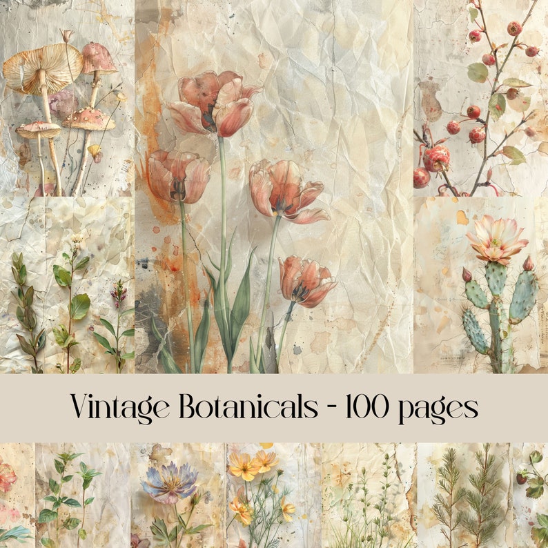 Vintage Botanicals Junk journal pages, floral images, paper texture, vintage style, scrapbook paper, digital paper, printable images image 1