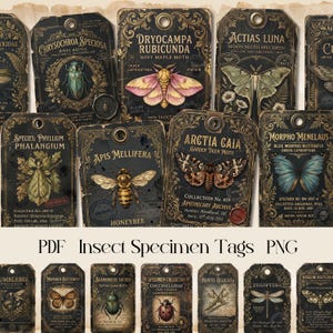 May include: A selection of antique-style insect specimen tags, each with intricate designs and illustrations of insects like moths and beetles. The tags include scientific names and collection data, with the text "PDF Insect Specimen Tags PNG". Measurements are not applicable.