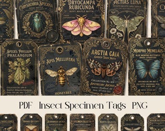 Etiquetas antiguas para especímenes de insectos, etiquetas de entomología, efímeros de mariposas y polillas (PDF PNG)
