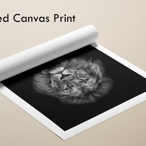Majestic Lion Canvas Art, Black Background Animal Wall Art Prints, Wildlife Office & Home Decor image 11