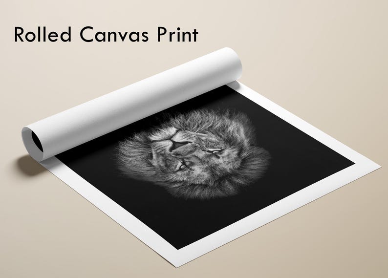 Majestic Lion Canvas Art, Black Background Animal Wall Art Prints, Wildlife Office & Home Decor image 11