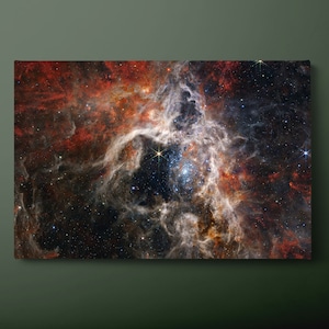 NASA Tarantula Nebula Canvas Wall Art, NASA JWST Canvas Print, James Webb Canvas Painting, Ready to Hang