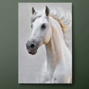 Horse Canvas Wall Art, Animals Canvas Painting, Horse Portrait Canvas Print, Gift for Horse Lover