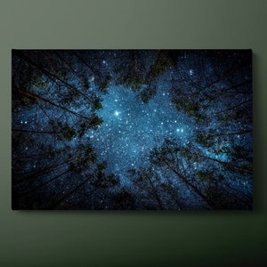 Stars and Trees Canvas Wall Art, Night in Forest Canvas Print, Navy Blue Night Sky Canvas Painting, Ready to Hang