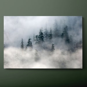 Nebliger Wald Leinwand Wandkunst, nebliger Berg Dschungel Leinwand Kunst, fertig zum Aufhängen