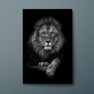 Majestic Lion Canvas Art, Black Background Animal Wall Art Prints, Wildlife Office & Home Decor image 7