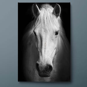 White Horse Portrait Canvas Wall Art, Elegant Equine Canvas Print, Black and White Horse Canvas Wall Decor, Ready to Hang