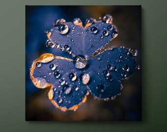 Water Droplet on the Flower Canvas Wall Art, Clover Canvas Print, Dark Color Floral Canvas Painting, Ready to Hang
