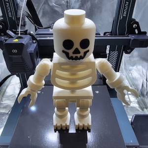 Large Modular Brick Skeleton