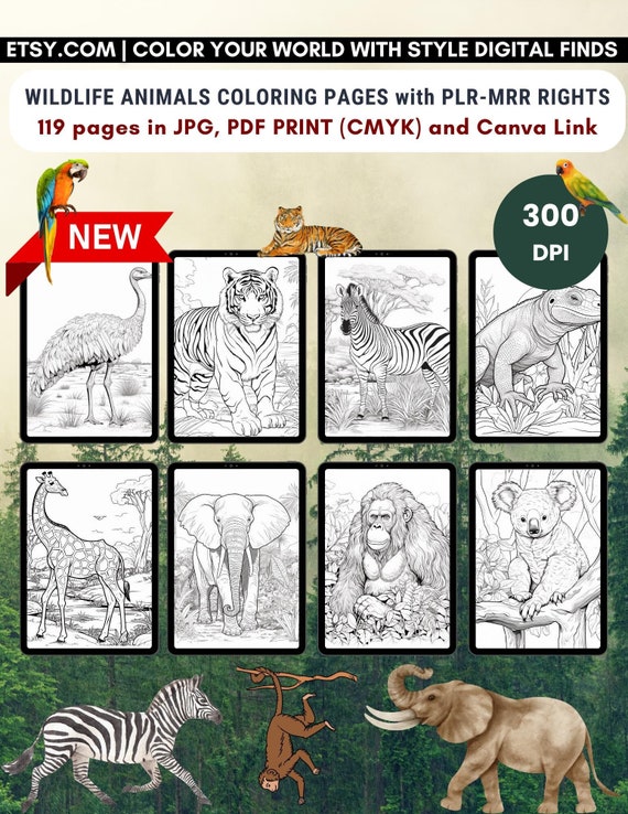 Pricing And Affordability