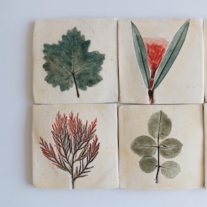 Puede incluir: Un conjunto de baldosas cerámicas cuadradas, cada una con un diseño botánico diferente. Las baldosas muestran ilustraciones detalladas de hojas y flores en tonos verdes, rojos y marrones sobre un fondo crema. Los diseños incluyen una hoja, una flor y una ramita.