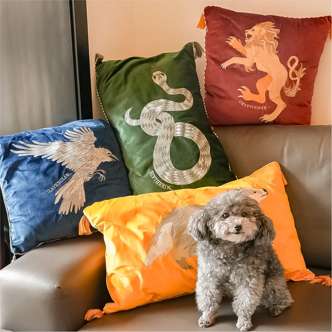 Potter Pillow Harry New Zealand