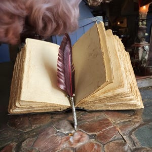 May include: An open, aged book with yellowed pages and a decorative feather quill pen. The quill features a burgundy feather with silver accents. The book's pages are rough-edged, suggesting an antique or vintage style, perfect for writing or journaling.