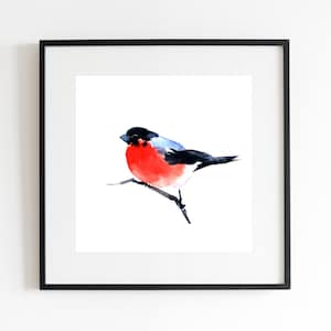 Bullfinch Art Print, Wildlife Wall Art, Nature Bird Print, Matte Square Poster, Watercolor Art Decor, Bird Lover Gift