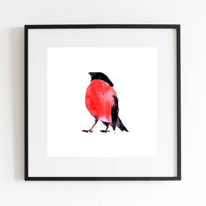Bullfinch Art Print, Nature Bird Print, Watercolor Art Decor, Wildlife Wall Art, Square Poster, Bird Lover Gift