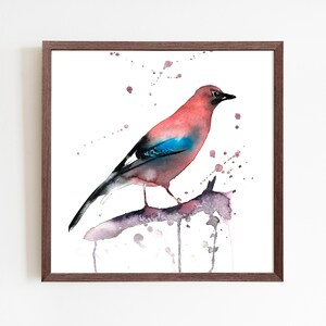Vogel Aquarell Art Print, Eichelhäher Vogel Poster, Quadratische Wanddekoration, Natur Malerei, Geschenk für Vogelliebhaber