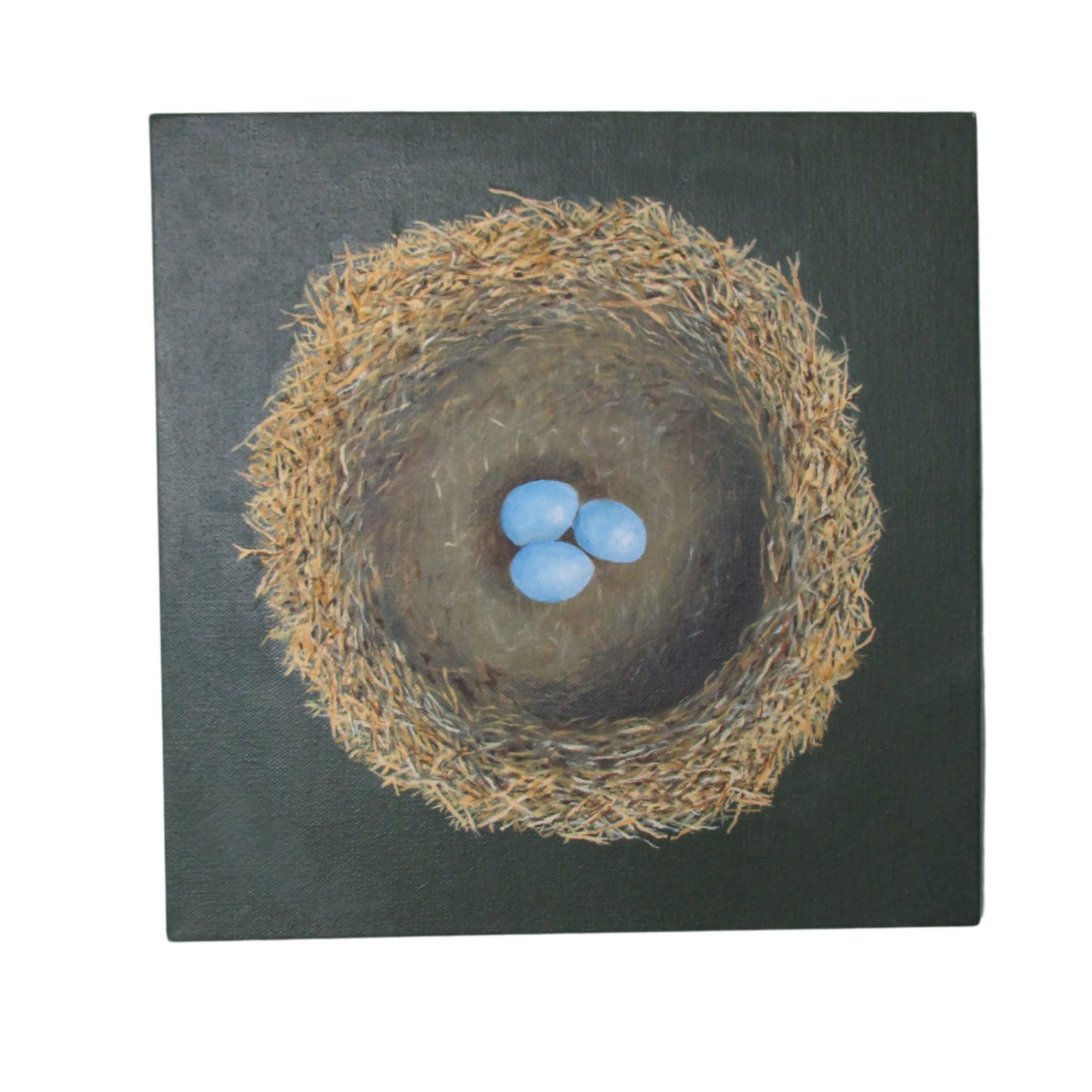 Original Oil Painting of Bird Eggs in Nest 12 X 12 Etsy
