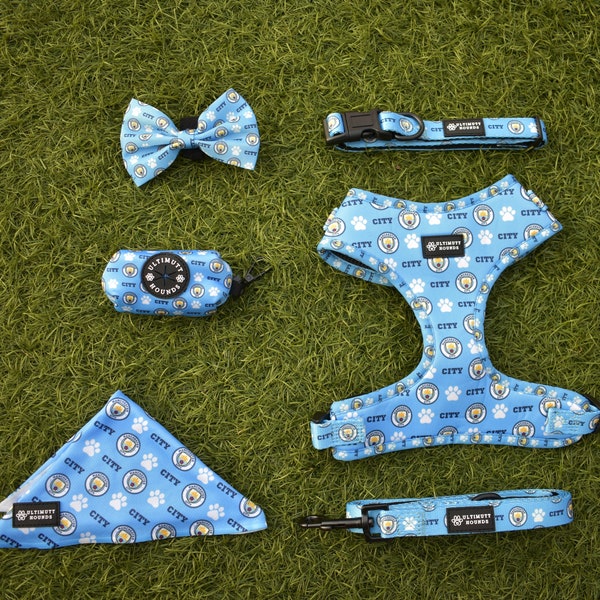 Football Dog Harness Bundle, Collar, Leash/Lead, Bow tie, Bandana, Poop bag holder.