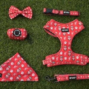 Football Dog Harness Bundle, Collar, Leash/Lead, Bow tie, Bandana, Poop bag holder.