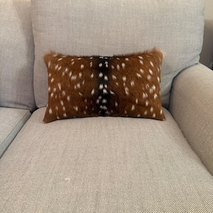 Genuine Axis pillows With Black Stripe/ brown leather backing. Comes with insert