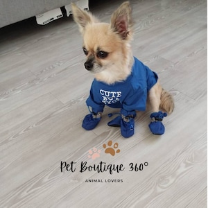 Botas de otoño para perros Chihuahua, zapatos para perros