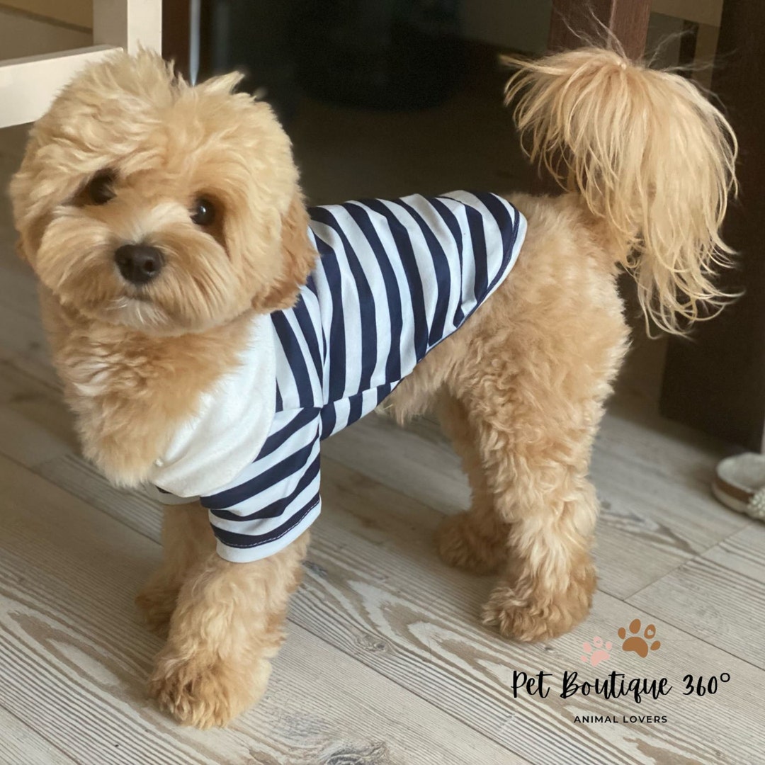 Dog Winter Wear, Doggy Jacket, Winter Dog Coat, Chihuahua Clothes