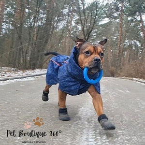 Doggy Boots, Dog Boots, Dog Booties