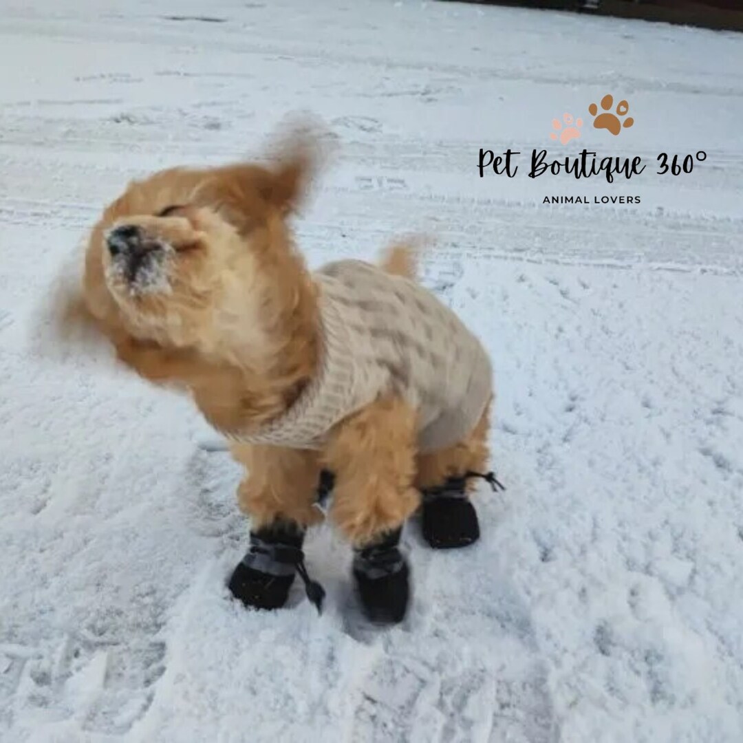 Doggy Boots, Dog Boots, Dog Booties Etsy
