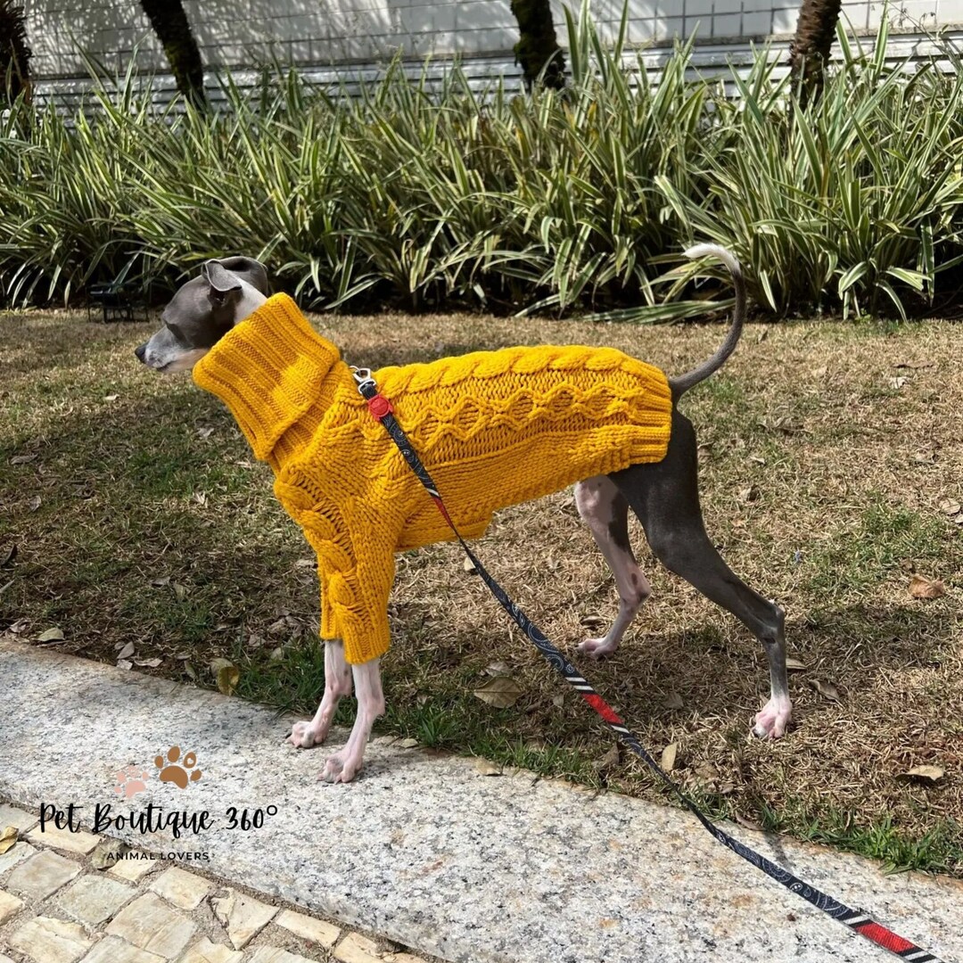 Dog Winter Wear, Doggy Jacket, Dog Winter Coat, Chihuahua Clothes